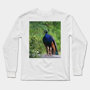 In Deep Thought Long Sleeve T-Shirt